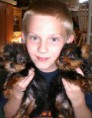 /album/nina-and-robby/faree-yorkie-jpg/